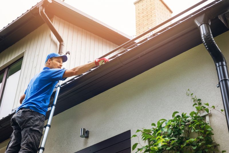 Gutter Cleaning in Monmouth County, NJ