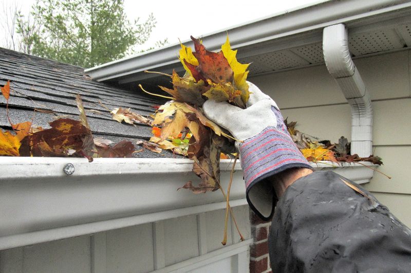 Gutter Leaves Removal in Arvada, CO