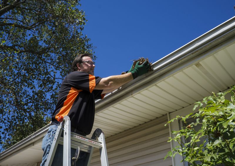 Rain Gutter Clearing in Baltimore, MD