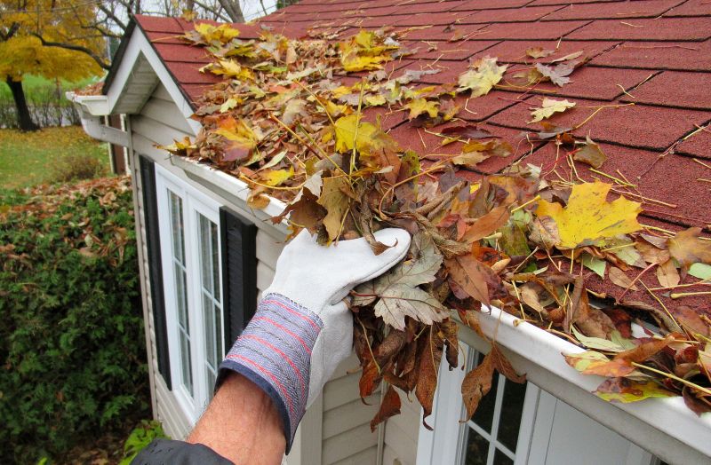 Rain Gutter Clearing in Baltimore, MD