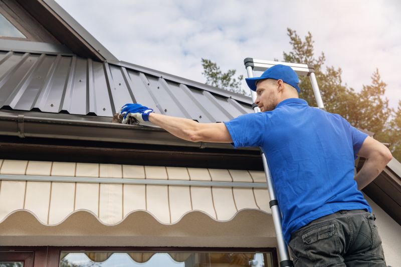 Roof Gutter Cleaning in Richmond, VA